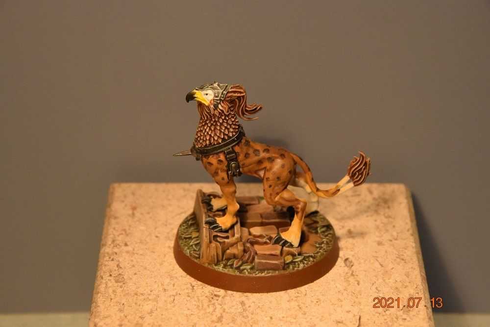 13_AoS_Gryph'Hound_2.jpg