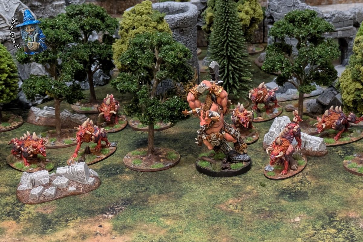 entete-20251101 (1).jpg