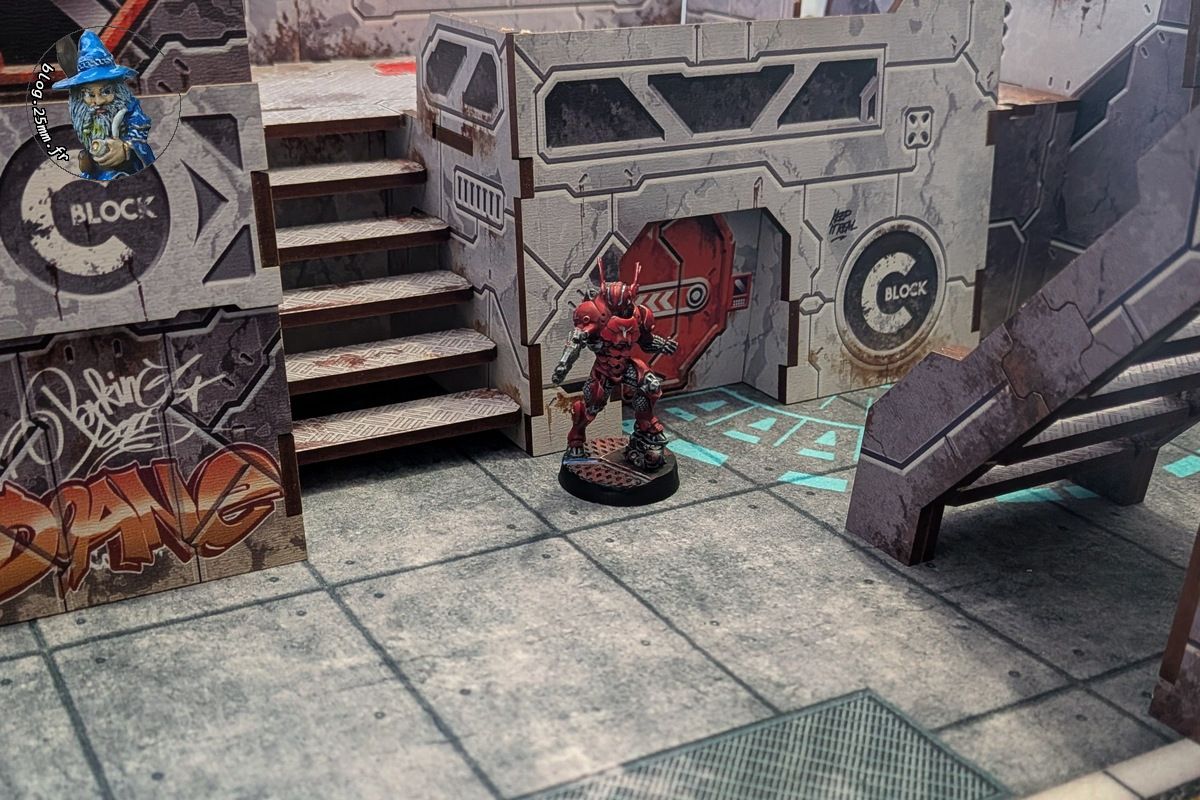 header-20260128 (1).jpg