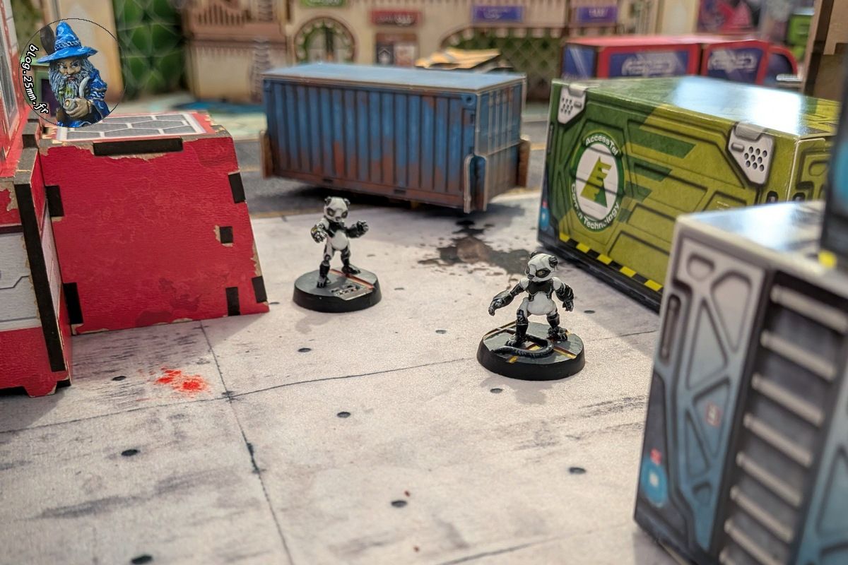 header-20260309 (1).jpg