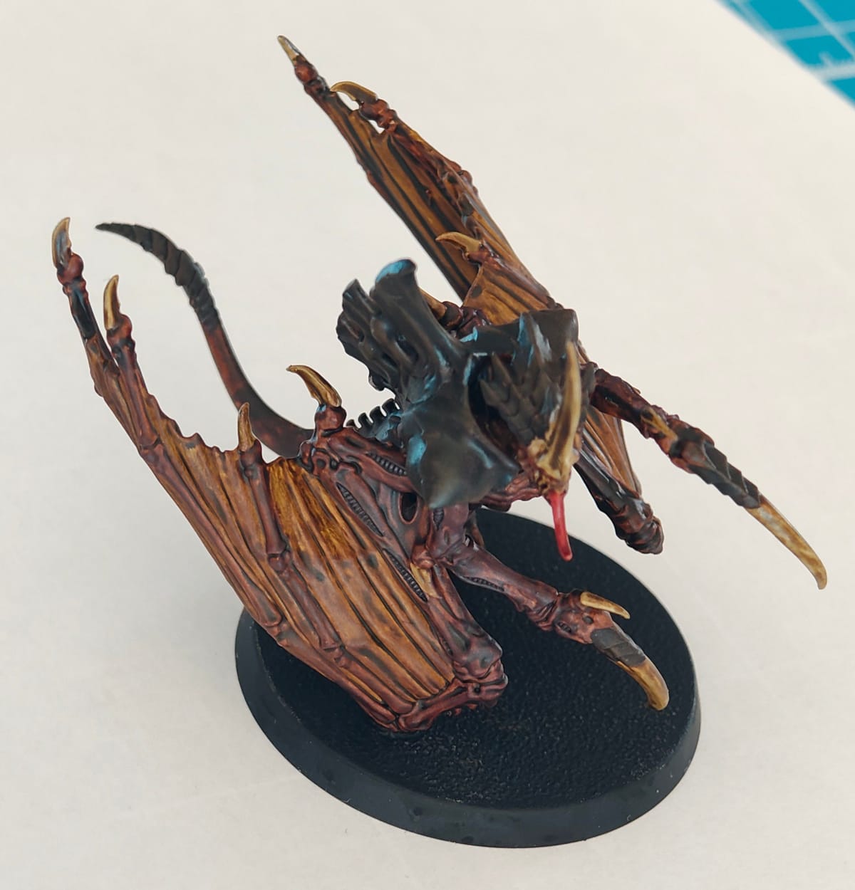 IMG_20260317_101516178 (1).jpg